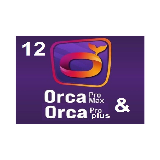 Orca Pro Max / Pro Plus 12 Mois